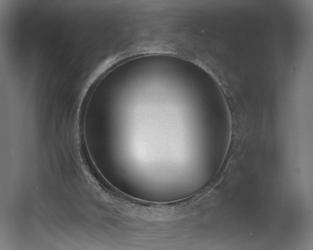 X0000060550008200511031229