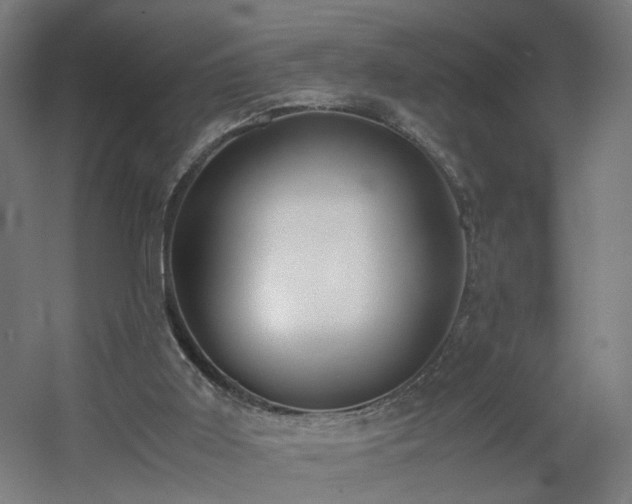 X0000060550011200511031229