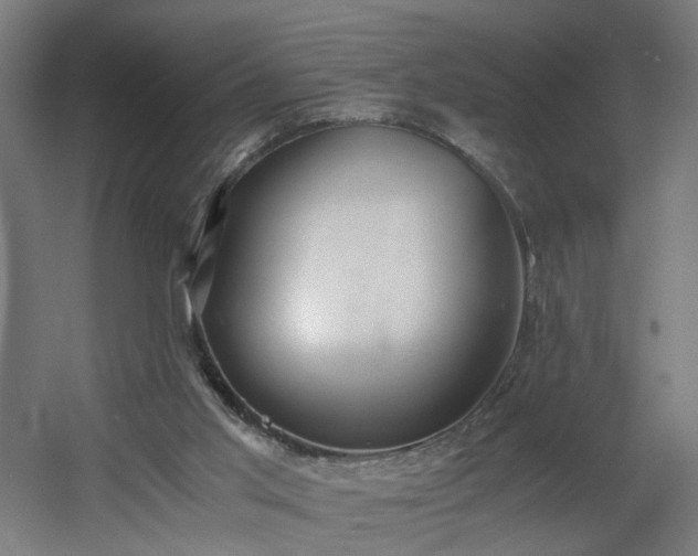 X0000060550013200511031229