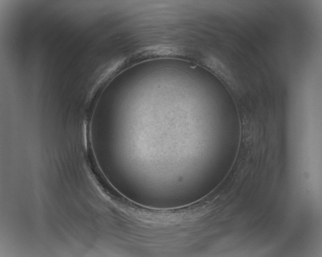 X0000060550014200511031229