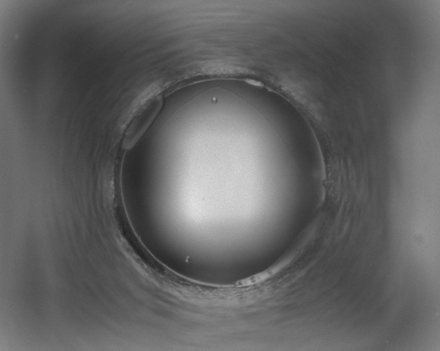 X0000060550015200511031229
