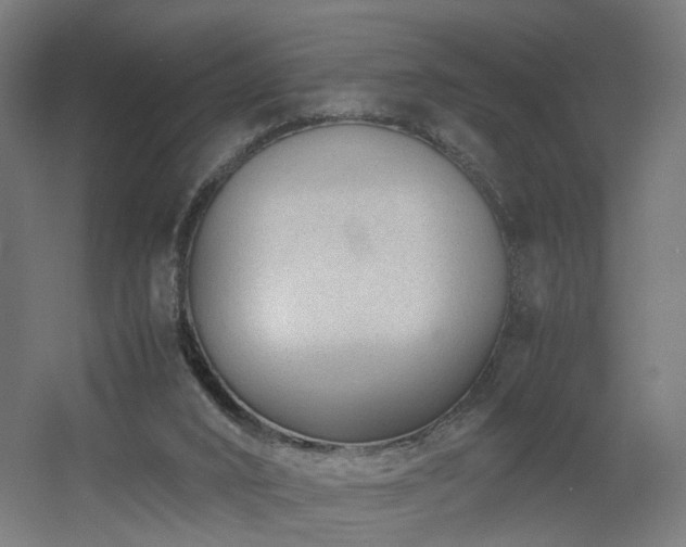 X0000060550016200511031229