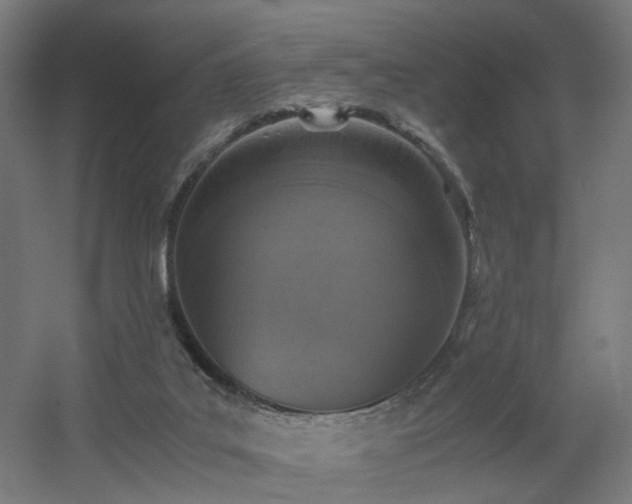 X0000060550019200511031229