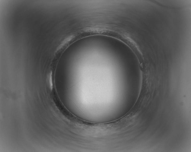 X0000060550020200511031229