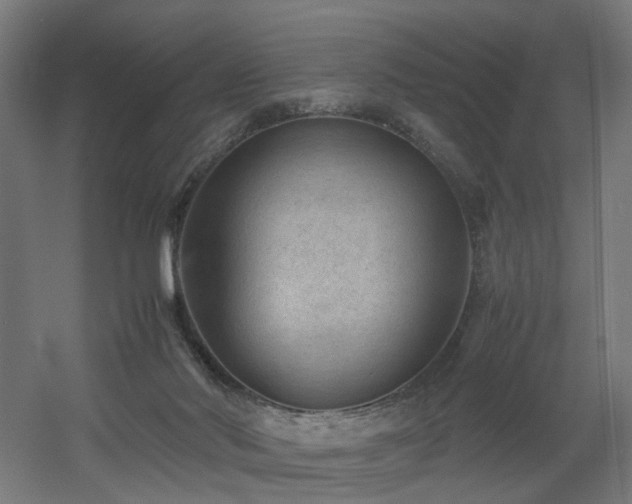 X0000060550022200511031228