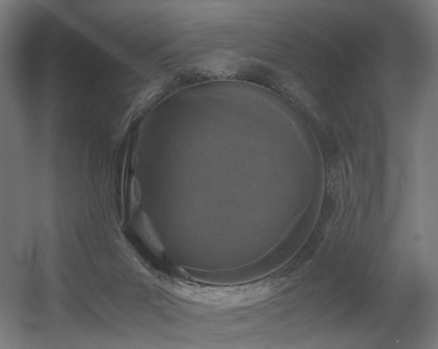 X0000060550023200511031228