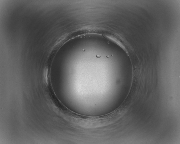 X0000060550024200511031228