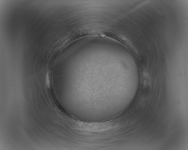 X0000060550026200511031228