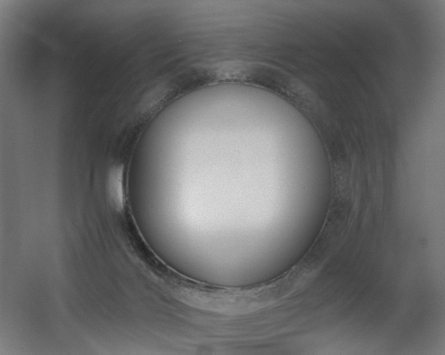 X0000060550028200511031228