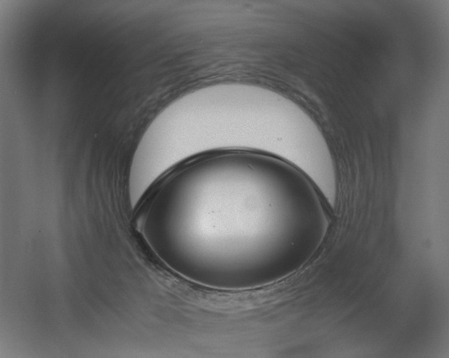 X0000060550029200511031228