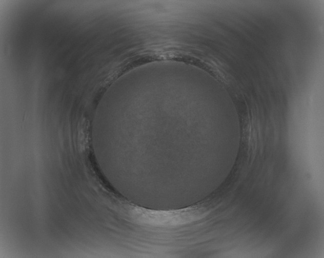 X0000060550030200511031228