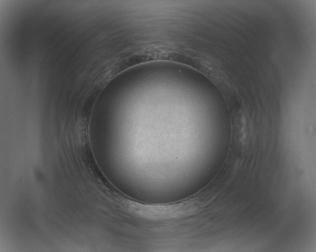 X0000060550034200511031228