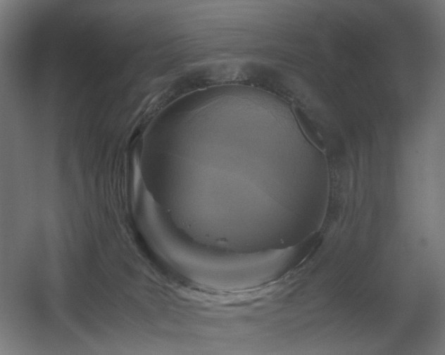 X0000060550035200511031228