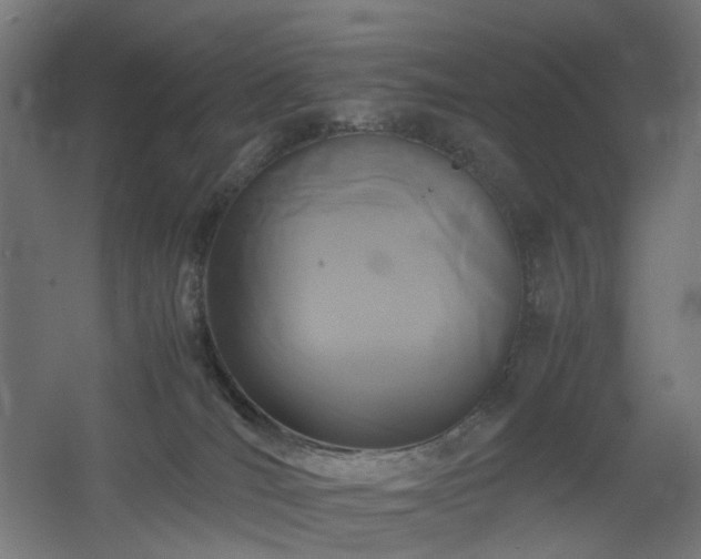 X0000060550036200511031228
