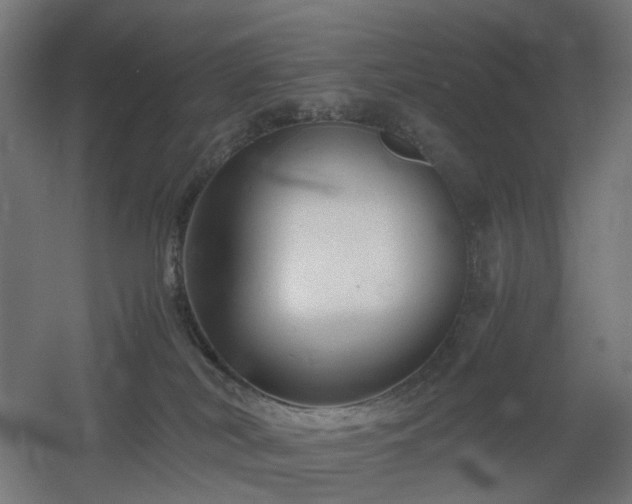 X0000060550038200511031228