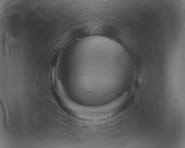 X0000060550039200511031228
