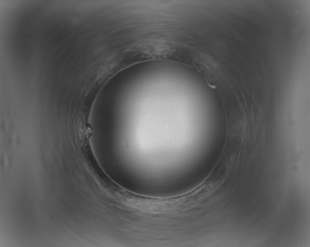 X0000060550040200511031228