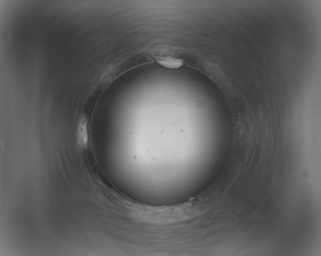 X0000060550042200511031228