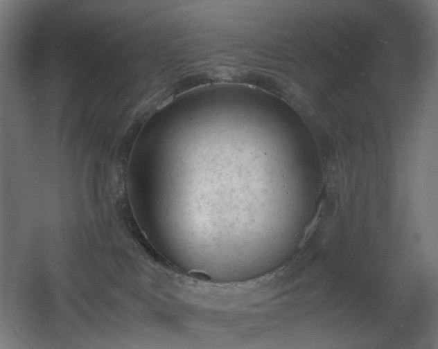 X0000060550043200511031228