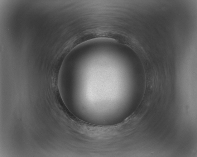 X0000060550044200511031228