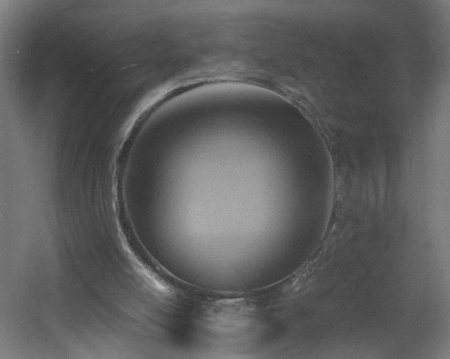 X0000060550054200511031227