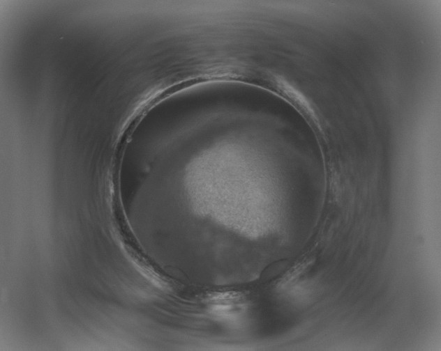 X0000060550059200511031227
