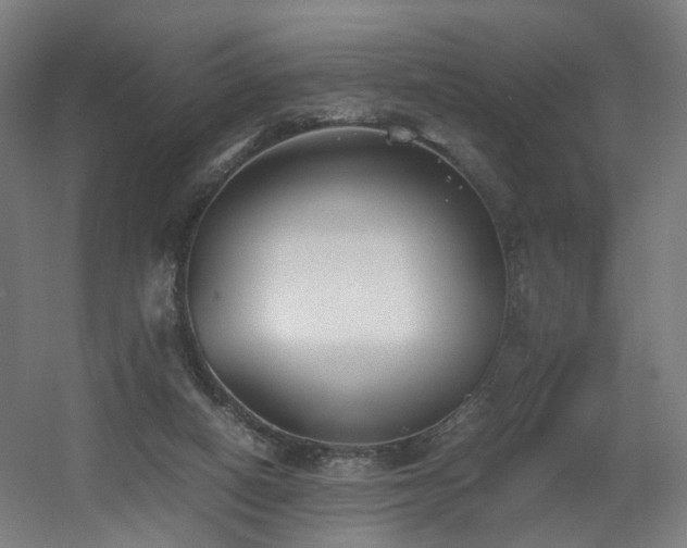X0000060550066200511031228