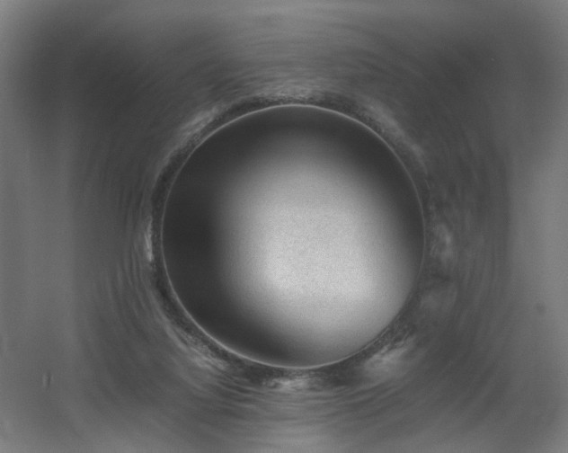 X0000060550068200511031228