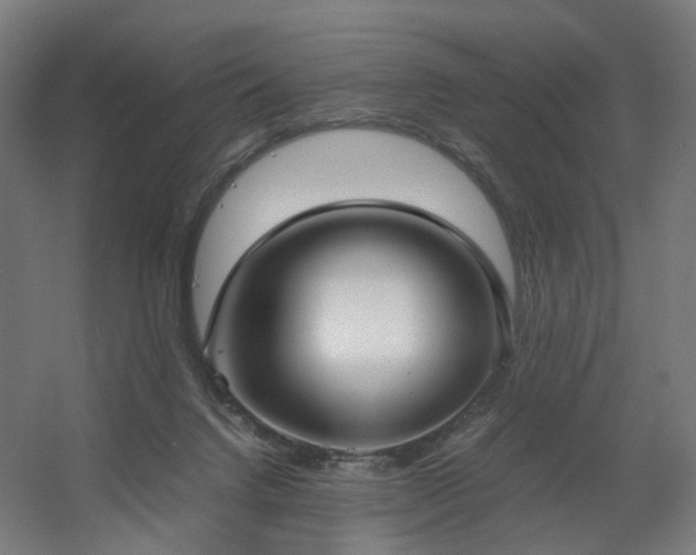 X0000060550072200511031228