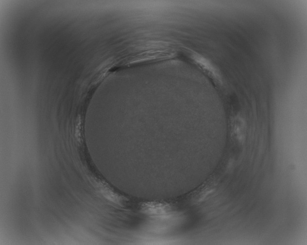 X0000060550073200511031228