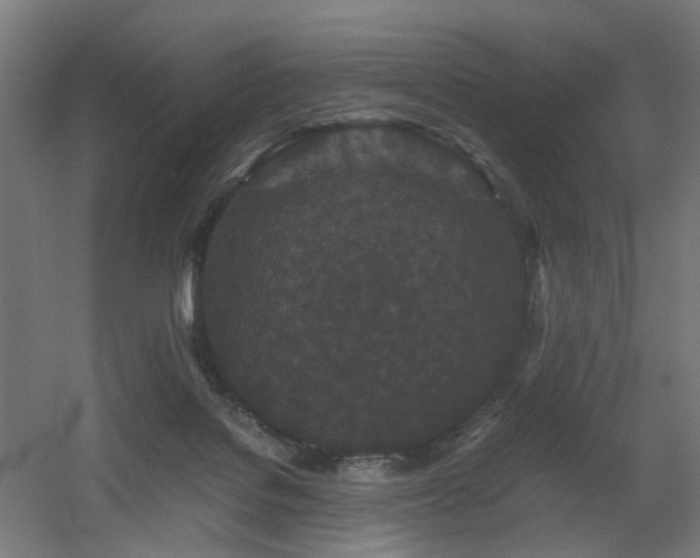 X0000060550076200511031228