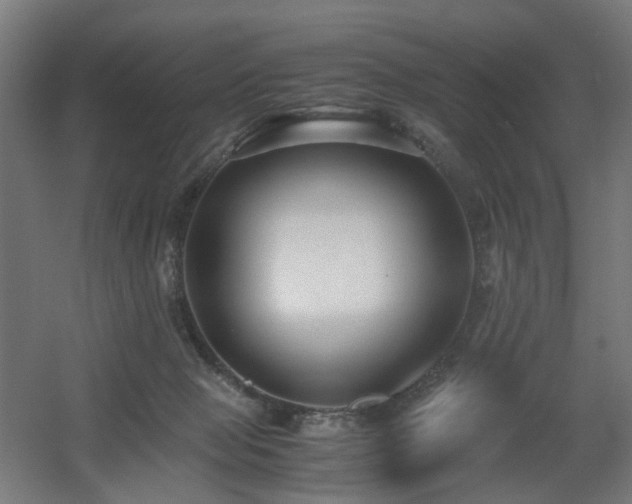 X0000060550077200511031228