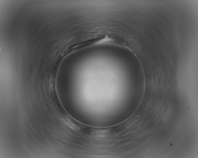 X0000060550081200511031228