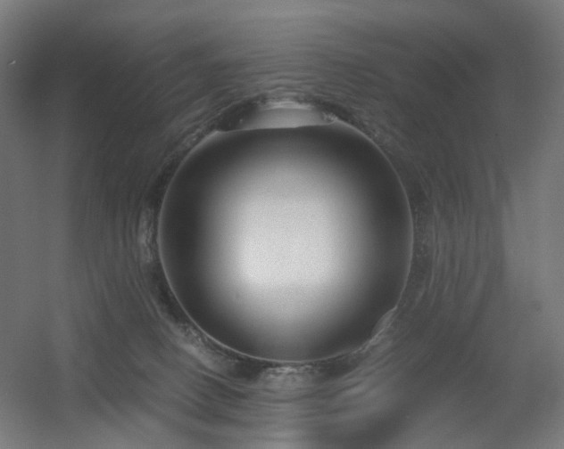 X0000060550082200511031228