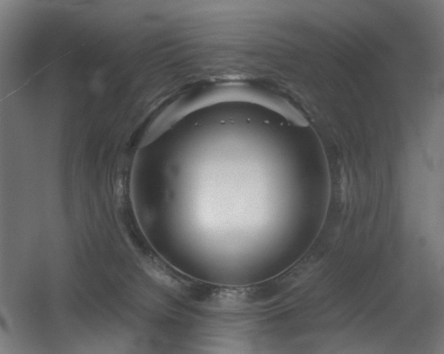 X0000060550084200511031228