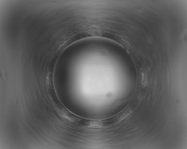 X0000060550088200511031228