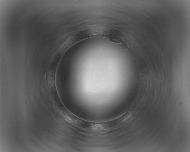 X0000060550091200511031228