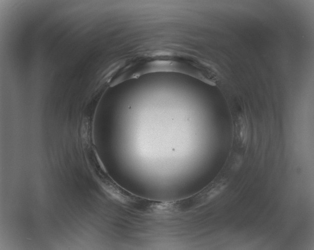 X0000060550092200511031228