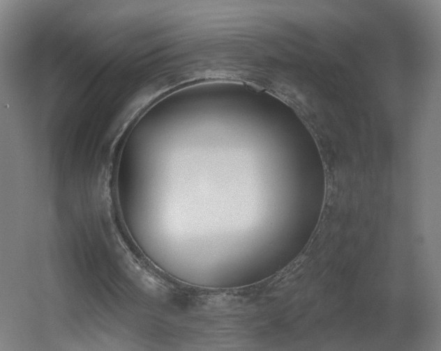 X0000060550098200511031227