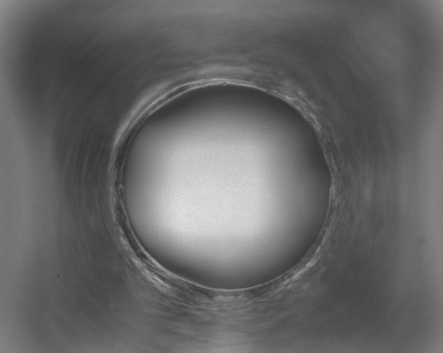 X0000060550101200511031227
