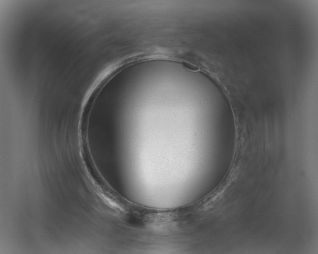 X0000060550102200511031227