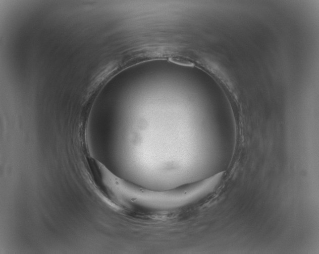 X0000060550105200511031227