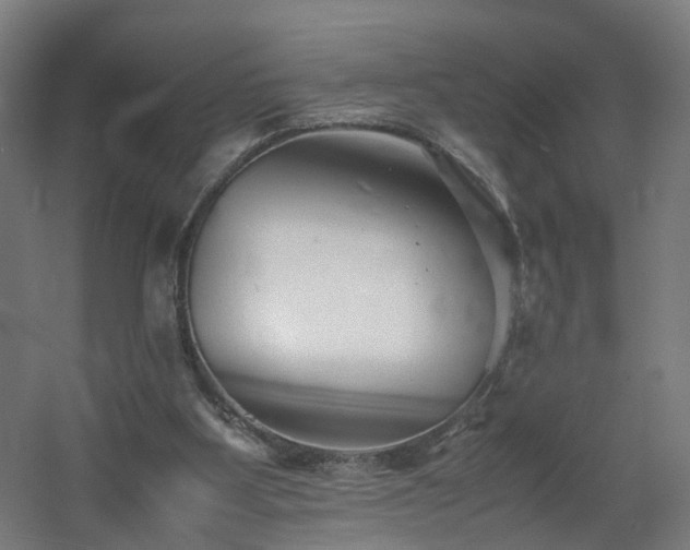 X0000060550107200511031227