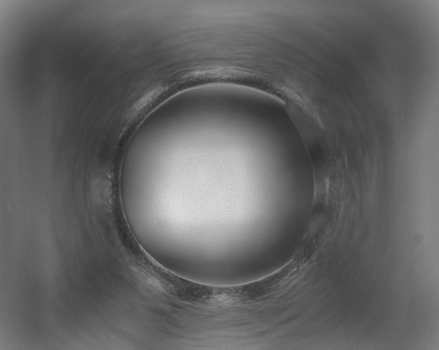 X0000060550111200511031227