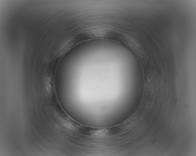 X0000060550122200511031227