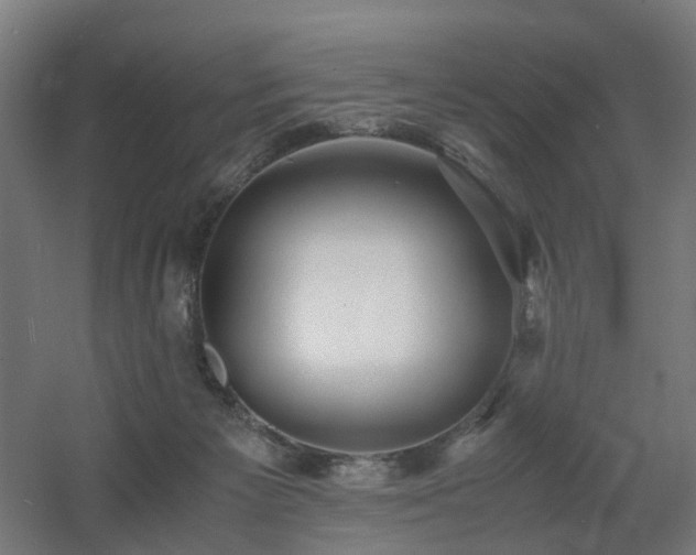 X0000060550125200511031227