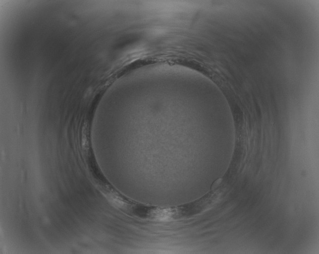 X0000060550131200511031227