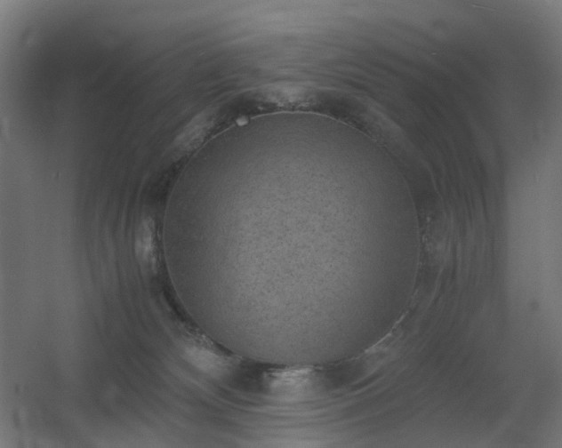 X0000060550132200511031227