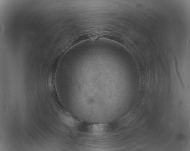 X0000060550134200511031227
