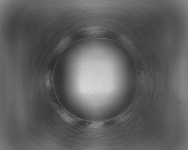 X0000060550138200511031226